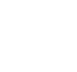 Spot Sanction